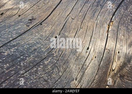 Alte verwitterte Baumstamm-Baumstruktur Holzhintergrund Stockfoto