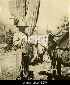 Camp und Camino in Niederkalifornien; eine Aufzeichnung der Abenteuer des Autors bei der Erkundung der Halbinsel Kalifornien, Mexiko . er hat unpräpossessing Mestizen versammelt am rancho, Tojourney mit mir bis zur Mission von Santa Gertrudis. Ich Überbringe so meine Habseligkeiten wie onLarios Burros schnell auf die neu engagierten, Ich drückte weiter und schaffte es, eine Liga zwischen rancho und Myselfbeer Dunkelheit zu platzieren, und der Regen zwang uns, am Rande des arroyo zu campen, den wir runterreisten. In der Nacht schaute ich von meinem Zelt und beobachtete ein akurides Phänomen. Regentropfen wer Stockfoto