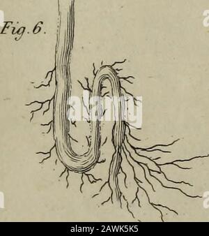 Journal der natürlichen Philosophie, Chemie und Kunst. Stockfoto