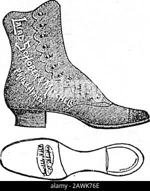 Daily Colonist (1893-06-03) . IILL LADIES STOFFTOP BUnON BOOTSAND OXFORDS.. DER DAINTIEST OOOOS HAT SICH JEMALS IN SCHUHEN VERWANDELT.SIE SIND NICHT DABEI, ES SEI DENN, SIE HABEN EIN PAAR DIESER SCHUHE. H. MANSELL, 95 REGIERUNG STREEF, MISSESAND CHILDS STOFF-TOP-KNOPFSTIEFEL, FEDERABSATZ. Stockfoto