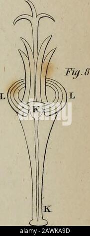 Journal of Natural Philosophy, Chemistry and the Arts. FI^.lo. Stockfoto