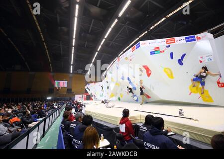 Allgemeine Ansicht, 8. Februar 2020 - Sportklettern: Der 15. Bouldering Japan Cup auf dem Komazawa Hallenballsportplatz, Tokio, Japan. (Foto von Naoki Nishimura/AFLO SPORT) Stockfoto