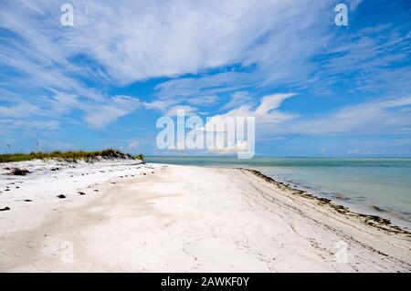 Schöne Küste auf Anna Maria Island, Florida Stockfoto