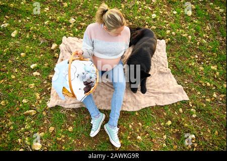 Schwangere Frau und ihr Hund spielen im Park. Stockfoto