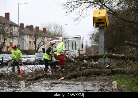 Arbeiter räumen auf, nachdem Baum auf die Blitzkamera gefallen war und beschädigten sie auf Dem Meadway in Tilehurst und Lesen, wie Storm Ciara in Großbritannien eintrifft. Stockfoto