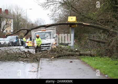 Arbeiter räumen auf, nachdem Baum auf die Blitzkamera gefallen war und beschädigten sie auf Dem Meadway in Tilehurst und Lesen, wie Storm Ciara in Großbritannien eintrifft. Stockfoto