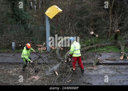 Arbeiter räumen auf, nachdem Baum auf die Blitzkamera gefallen war und beschädigten sie auf Dem Meadway in Tilehurst und Lesen, wie Storm Ciara in Großbritannien eintrifft. Stockfoto