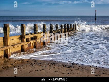 Meeresschutzgroschen am Strand von Hornsea East Yorkshire. Stockfoto