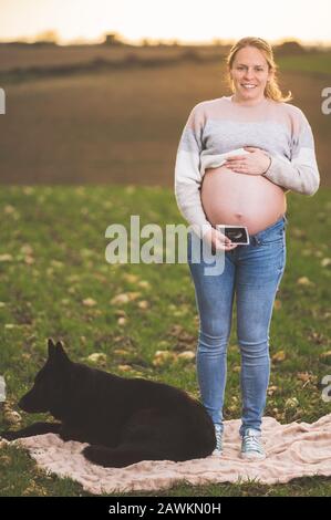 Schwangere Frau und ihr Hund spielen im Park. Stockfoto