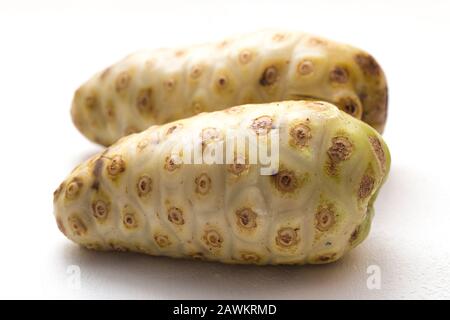 Noni- oder Morinda Citrifolia-Früchte isoliert auf weißem Grund (Rubiaceae Noni, große Morinda, indische Maulbeere, Strandmaulbeere, Käsefrucht, Gentiana Stockfoto