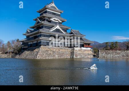 Matsumoto Castle im Winter mit schönen schneebedeckten Nordalpen ist Matsumoto Castle als Nationalschatz von Matsumoto, Japan, aufgeführt. Stockfoto