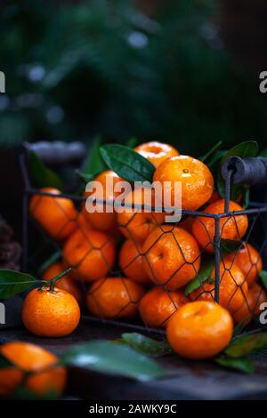 Frische reife Tangerinen mit Blättern Stockfoto