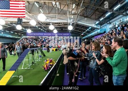 New York, USA. Februar 2020. Zuschauer applaudieren einem Hund, der an der Westminster Kennel Club Dog Show Masters Agility Championship in New York teilnahm. Kredit: Enrique Shore/Alamy Live News Stockfoto