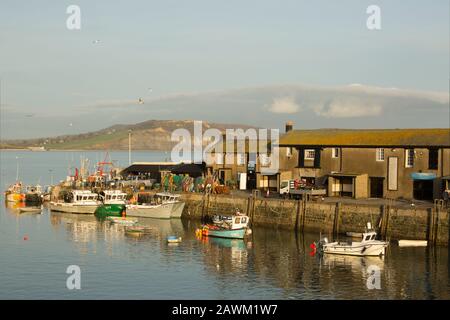 Fischerboote in Lyme Regis Cobb Harbour Anfang Februar. Lyme Regis liegt an der Juraküste und ist bei Besuchern beliebt, die nach Visi kommen Stockfoto