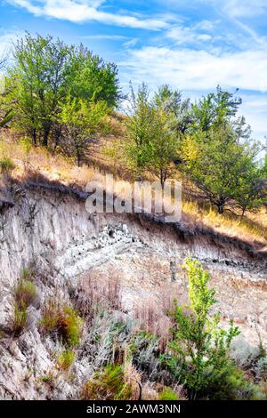 Bunter sandiger Hügel mit windenden Löchern von Riparia Riparia (europäischer Sand martin oder Bank Schwalbe) Vögeln Stockfoto