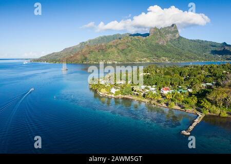 Luftansicht der Cook's Bay, Moorea, Französisch-Polynesien Stockfoto