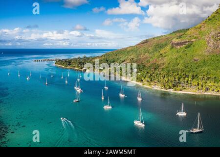 Luftansicht der Opunohu Bay, Moorea, Französisch-Polynesien Stockfoto