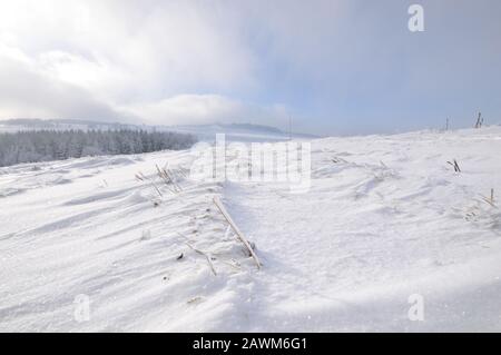 Ruhige, schöne Winterlandschaft Stockfoto