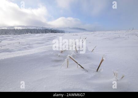 Ruhige, schöne Winterlandschaft Stockfoto