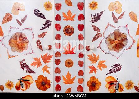 Alter Schrank von Kindern mit getrockneten Blüten und Blätter ersonnen, die auf der Vorderseite verziert. Florale grungy scrapbooking Hintergrund. Stockfoto