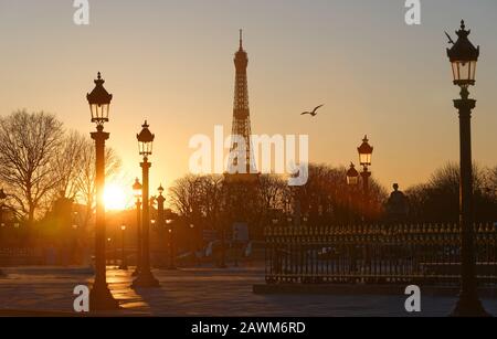 Silhouetten des Eiffelturms, Straßenlampen des Concorde Platzes bei Sonnenuntergang Paris. Stockfoto