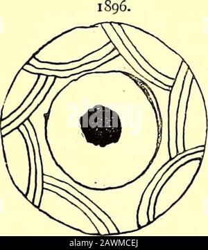 Die Nacht der Götter; eine Untersuchung der kosmischen und kosmogonischen Mythen und Symbolik . Alreadygierte und die Jahre 1896 sind Exemplare. Nr. 1835, bereits dargestellt, 1S97.186. Stockfoto