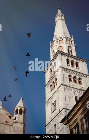 Kirchturm der Kathedrale mit Tauben im Flug in Modena, Italien Stockfoto