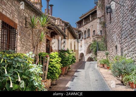 Typische Gasse in der italienischen Stadt Assisi, inmitten der typischen Häuser und voller grüner Pflanzen Stockfoto