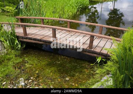Braune Holzfußbrücke über Teich mit Pondeteria Cordata - Pickerel Weed und Typha latifolia - Common Cattails im Hinterhof-Landgarten im Sommer. Stockfoto