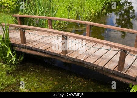 Braune Holzfußbrücke über Teich mit Pondeteria Cordata - Pickerel Weed und Typha latifolia - Common Cattails im Hinterhof-Landgarten im Sommer. Stockfoto