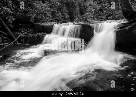 Wildcat Creek, Clarkesville, Georgia. Herbstnachmittag an einem der vielen kleinen Wasserfälle am Wildcat Creek. Der Wildcat Creek liegt in Rabun Cou Stockfoto