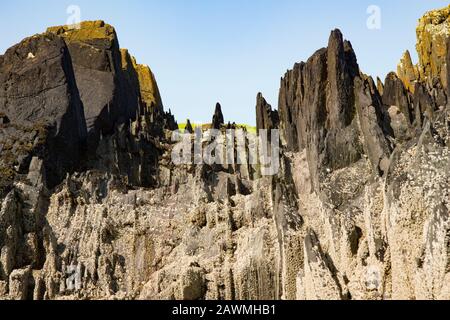 Felsformationen entlang der felsigen Ufer von Dumfries und Galloway in der Nähe des Dorfes Insel Whithorn. Südwestschottland GB Stockfoto