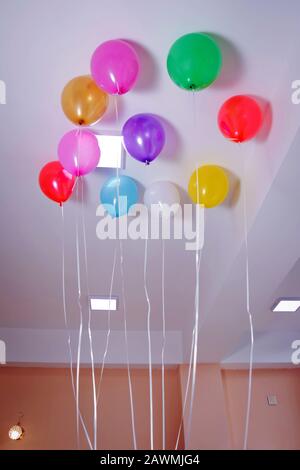 Farbige und rote Ballons schweben an der weißen Decke im Raum für die Party. Hochzeit oder Kinder Geburtstag Party Dekoration Interieur . Helium Stockfoto