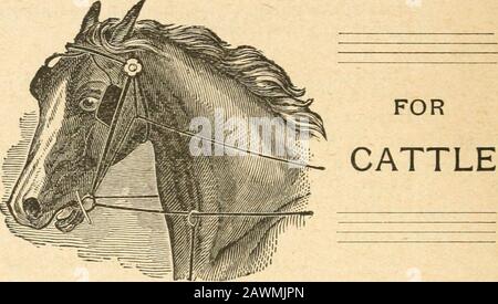 Katalog der Beiträge für die ..cattle Show und Messe der Bay State Agricultural Society1ST-3d; 1886-1889 . ERS Unter Zwei Jahren.Premium 8- 15 USD, 8 USD. 29 Dudley Wells, Wethersfield Conn. Flora Norton, 10139; gezüchtet von D. Wells, Wethersfield, Conn.; gekalkt am 1. April 1888, Sire Menteth, 4783, Staudamm Flora MacArthur, 4821. 30 Dudley Wells, Wethersfield, Conn. Dolly M., 10140; gezüchtet von D. Wells, Wethersfield, Conn.; gekalkt am 30. Juni 1888, Sire Menteth, 4183, Dam Dolly 8., 2251. 31 J. D. W. French, No. Andover, Mass. Princess Rose, 10163; gezüchtet von J. D. W. French; gekalkt am 13. Dez., 1887, Sire Crown Prince, 3590, Stockfoto