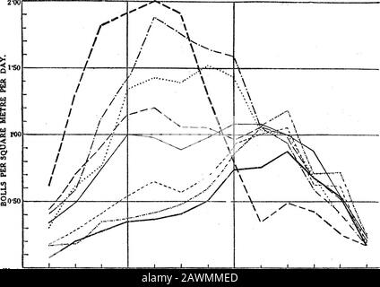 Analysen des landwirtschaftlichen Ertragsparkts IThe Spacing Experiment mit ägyptischer Baumwolle, 1912 . Weaka 20. 27. AUGUST 10. 17. September 15. 22. OKTOBER 29. Serie B. 2 * 00. Wochen Bis 13. 20. 27. AUGUST 10. 17. SEPTEMBER 8. 15. Oktober 29. Abb. 6.-Biegekurven pro Einheitenbereich. Diese Kurven zeigen die wöchentlichen Raten der boll-produktion pro Quadratmeter. Sie sind also ertragskurvesezeigend für jeden Abstand die Verteilung des Ertrags in der Zeit. Vergleichen Sie mit Abb. 5, Notation wie in Abb. 2. 2 A 2 178 MESSES. W. L. BALLS UND F. S. HOLTON Stockfoto