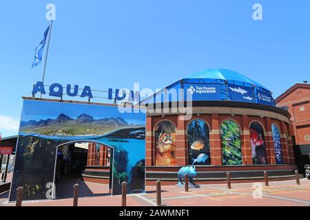 Two Oceans Aquarium, Marina, V&A (Victoria und Alfred) Waterfront, Kapstadt, Table Bay, Western Cape Province, Südafrika, Afrika Stockfoto