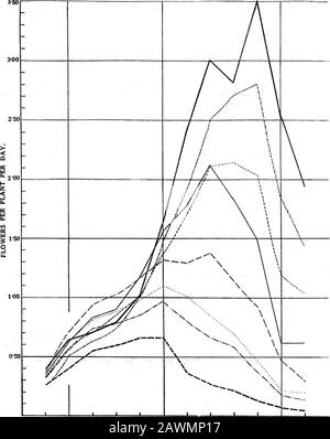 Analysen des landwirtschaftlichen Ertragsparkts IThe Spacing Experiment mit ägyptischer Baumwolle, 1912 . 13 20 27. AUGUST 10. 17. SEPTEMBER S 15. 22. OKTOBER 29. ABB. 3 (la).-Vergleich von Plots, die nominell identisch sind. Fünf Plots von Spacing la, verglichen mit der wöchentlichen boll-Produktion. Abb. 2 (A).-Blühende Kurven pro PlantDiese Figur ist ein Begleiter zu Abb. 2 (b), repräsentiert aber die Blühraten für solche Abstände mit Einzelpflanzen, im Gegensatz zur paarigen Anordnung von b. Die Kurven haben die gleiche Form wie in Abb. 2 (b), aber ihre Höhe an einem bestimmten Punkt wird fast verdoppelt. Abstand 1 2 3 4 5 8 9 - 1 - 1 10. Woche Stockfoto