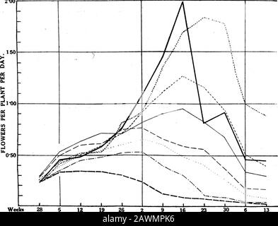 Analysen des landwirtschaftlichen Ertragsparkts IThe Spacing Experiment mit ägyptischer Baumwolle, 1912 . : Gizeh.Ertrag: 480 1B. fusseln. Woche* 21Bis 9 18 23 30 AUGUST 6 13. SEPTEMBER 8 IST 22. OKTOBER Abb. 1.-Dieses Diagramm stellt die Lebensgeschichte einer durchschnittlichen Feldfrucht aus ägyptischer Baumwolle dar, d. H., einer im Spacing-Experiment als 2 b bezeichneten Thrrangigkeit (Tabelle, S. 114). Die in wöchentlichen Abständen aufgestellten Ordonnersteine zur Darstellung der verschiedenen Werte wurden durch Linesto aus den verschiedenen Kurven verbunden. Die Aufblütenkurve und Siedekurve zeigen die Änderungen von Woche zu Woche in den Raten zu which flowers and bolls (f. Stockfoto