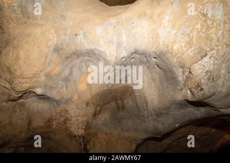 San-Rockkunst eines Elefanten in den Höhlen von Cango, Oudtshoorn, Provinz Westkap-Provinz, Südafrika Stockfoto