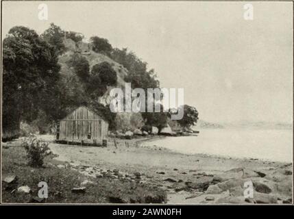 Die Geologie der Unterabteilung Coromandel, Hauraki, Auckland . Shakespeare Clipp, Mercory Kay [Foto, von Mr. Alex. MCKAY, F.G.S.. Wiiitiaxga Rock, Mercury Bat. [Foto, von Mr. Alex. McKay, F.G.S. Geo. Bull Nr. }.] [Zur Fläche auf der Platte VI. Stockfoto