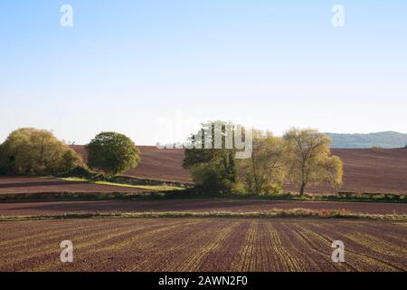 Herbstfelder in Herefordshire Stockfoto