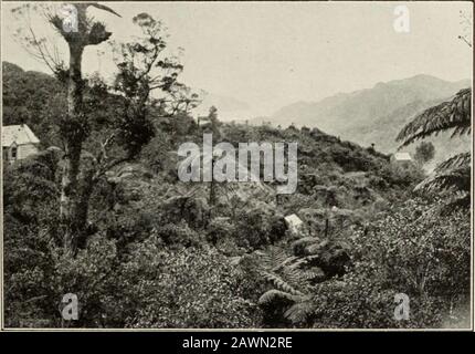 Die Geologie der Unterabteilung Coromandel, Hauraki, Auckland . okatka Hill, prom den Südosten. [Foto, von Hr. Ahx. MCKAY, F.G.S.. Osthang des Tokatea-Hügels. Kennedys Bat IX The Distani e. [Foto, von Mr. Alex. McKay, F.G.S. Geo. Bull Nein..] [To face /&gt;. I/. PLATTE III Stockfoto