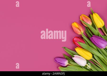 Blumenstrauß mit bunten Tulpenfrüchteblumen in der Ecke des rosafarbenen Hintergrunds mit leerem Kopierraum Stockfoto