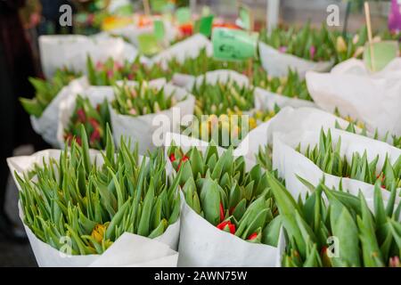 Blumenstrauß aus verschiedenen bunten blühenden Tulpen wickeln sich mit Papier in den Korb beim Blumenhändler. Eine Gruppe von Blumentulpen zum Verkauf vor dem Blumenladen. Stockfoto