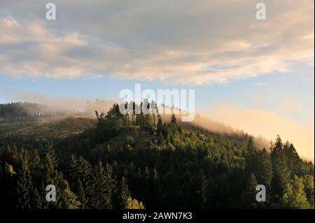 See umgeben von Bergen, Harz, Deutschland. Stockfoto