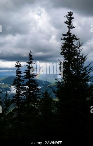 Ein Regenbogen bricht durch den stürmischen Himmel bei Timber Butte Cabin Lookout, Fall Creek, Oregon. Stockfoto