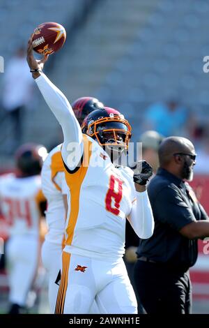 Houston, Texas, USA. Januar 2020. La Wildcats Quarterback Josh Johnson (8) geht in Vorspiel-Aufwärmungen vor dem regulären Saisonspiel der XFL gegen die Houston Roughnecks im TDECU Stadium in Houston, TX am 8. Februar 2020 durch. Kredit: Erik Williams/ZUMA Wire/Alamy Live News Stockfoto