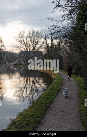 Ein Mädchen, das mit ihrem Hund auf dem Schlepppfad auf dem Kanal von Leeds und Liverpool in der Nähe von Skipton, Großbritannien, läuft. Stockfoto