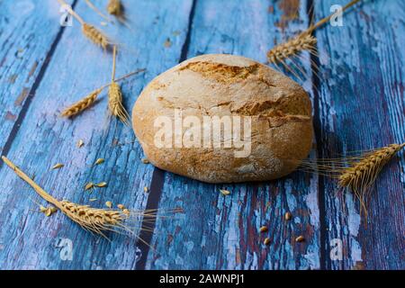 Rundes Brot aus Weizen- und Roggenmehl auf blauem rustikalem Hintergrund. Weizenähren mit Pikeletten, Ahlen und Körnern werden um das Brot verteilt. Stockfoto