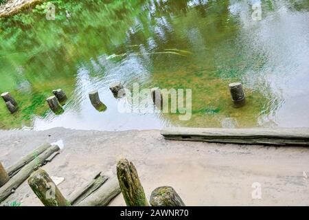 Sandstrand und alte verwitterte Holz- beiträge in spiegelnden Wasser des seichten Fluss oder Kanal mit Algen und Schlick Stockfoto